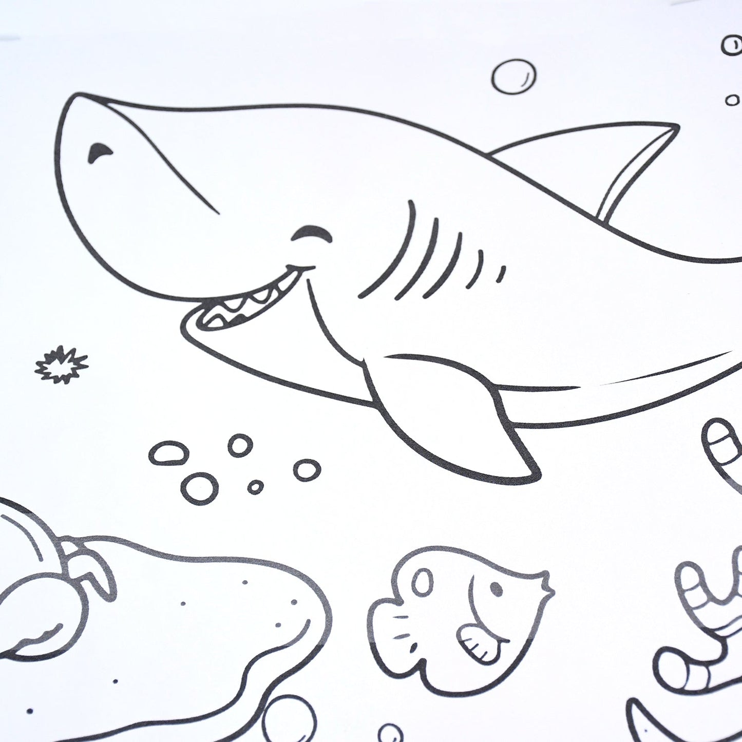 Feature close-up of textured tear-resistant paper on educational coloring roll