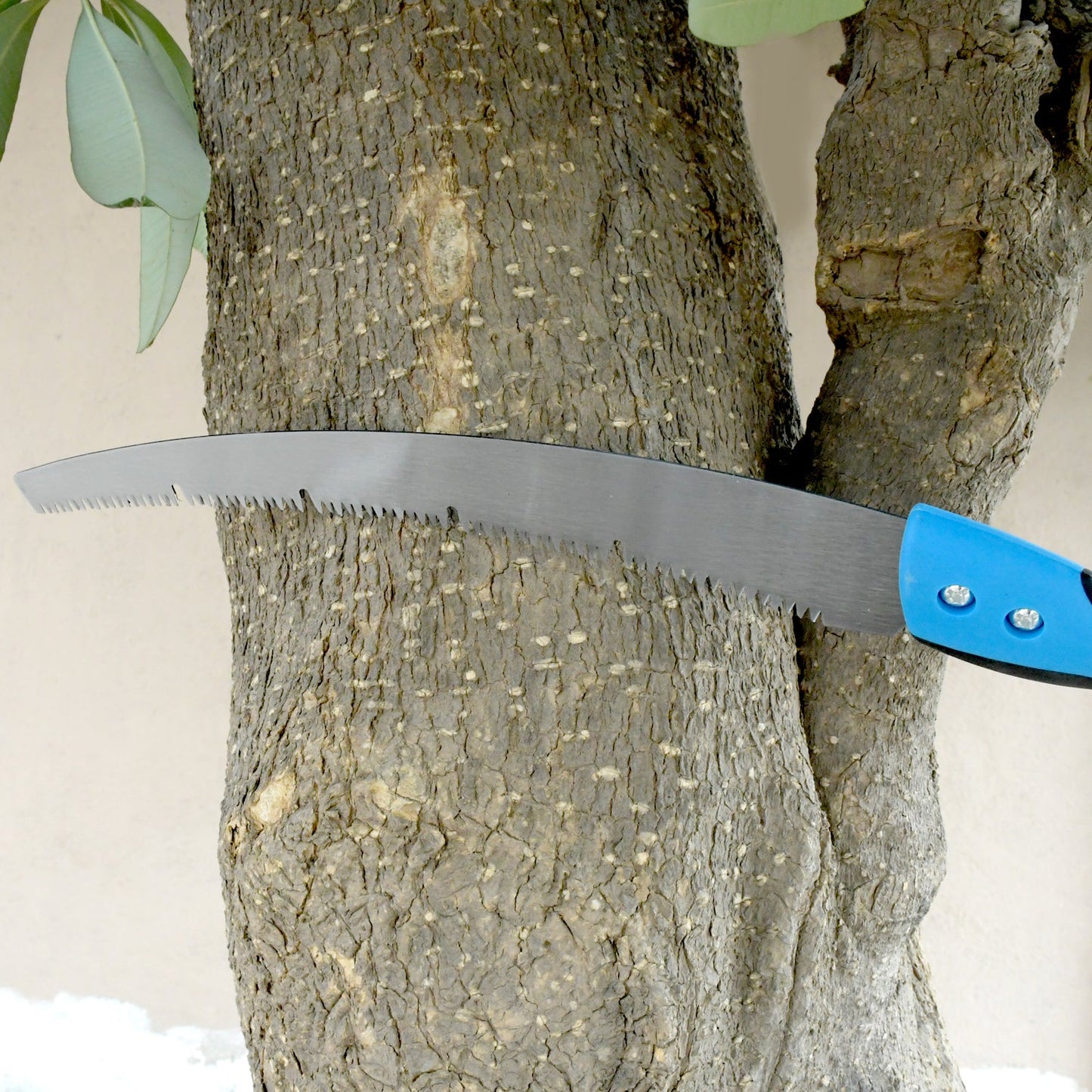 Full view of the robust 20-inch high carbon steel pruning saw from Grow Garden Tools.