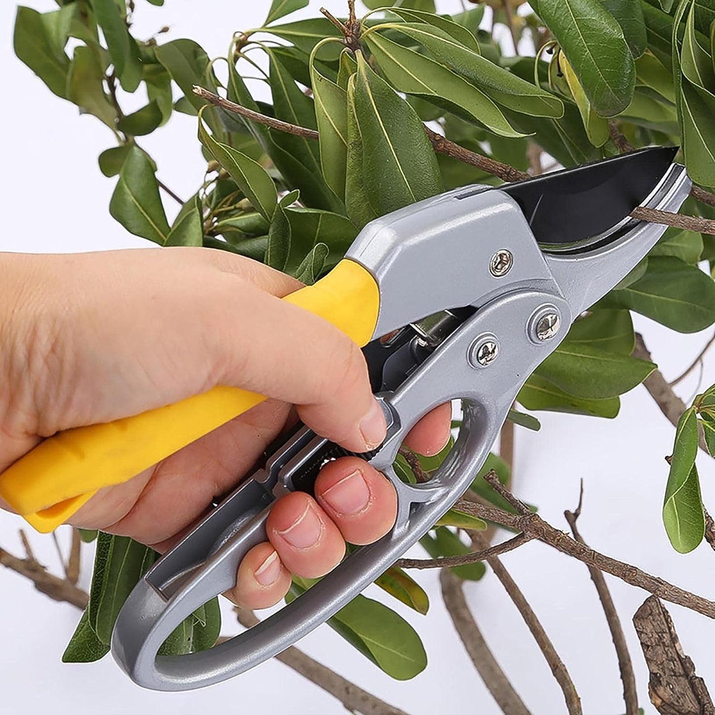 Pruning shears with sharp SK-5 steel blades and ergonomic handle for gardening