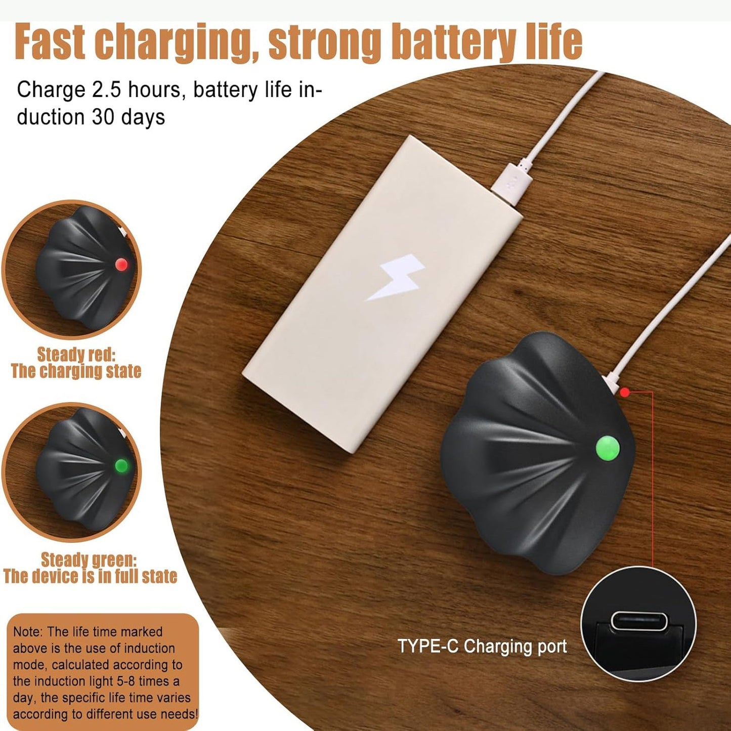 Motion activated shell-shaped lamp providing eye-comfort illumination