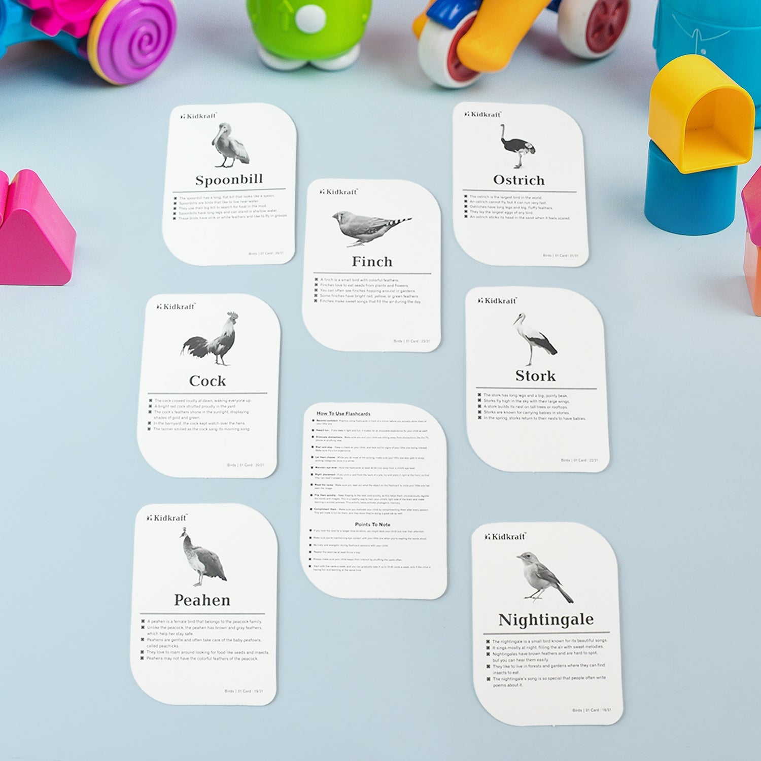 Set of 32 color laminated bird flashcards spread out for early childhood education