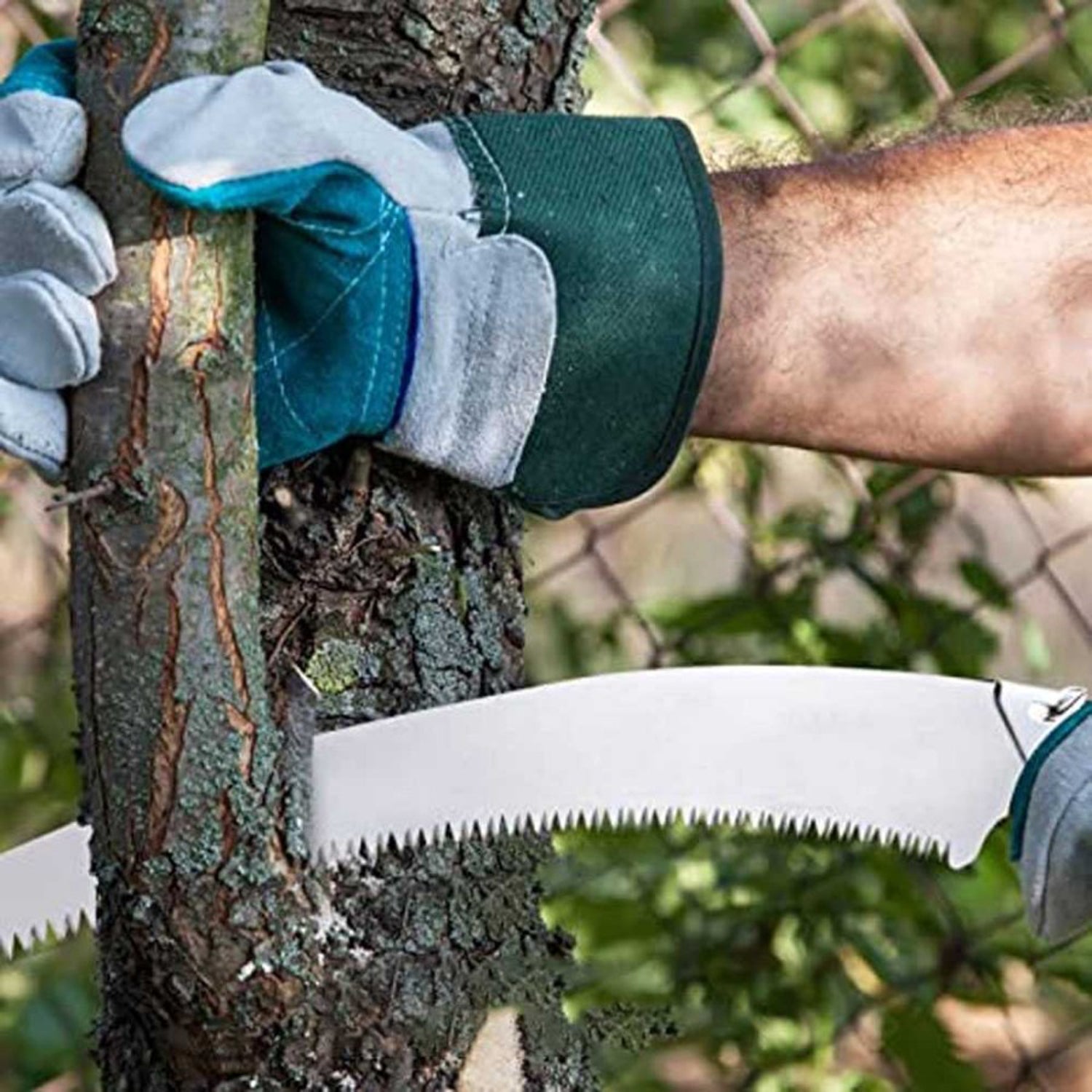 50 cm long hand pruning saw for reaching various tree branches.