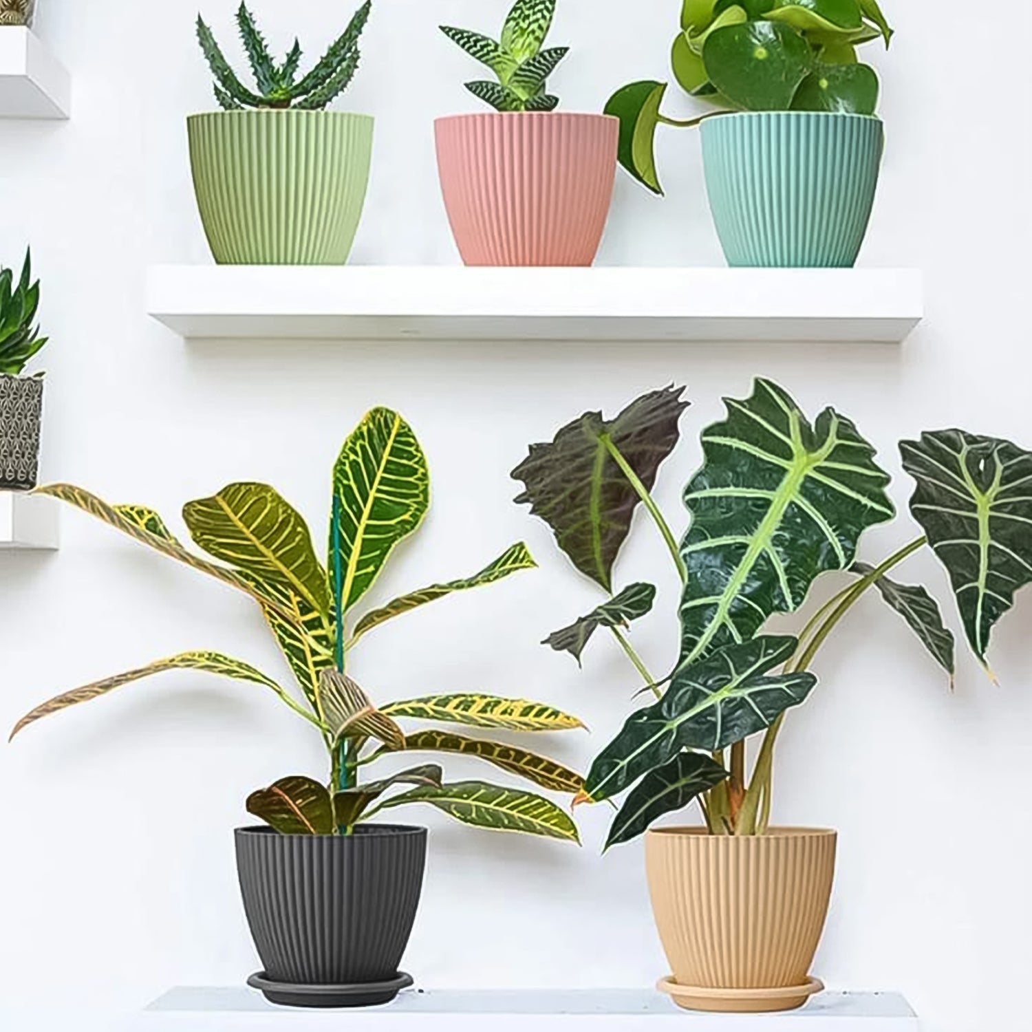Stylish modern black plastic flower pot with a plant, highlighting its sleek matte finish.