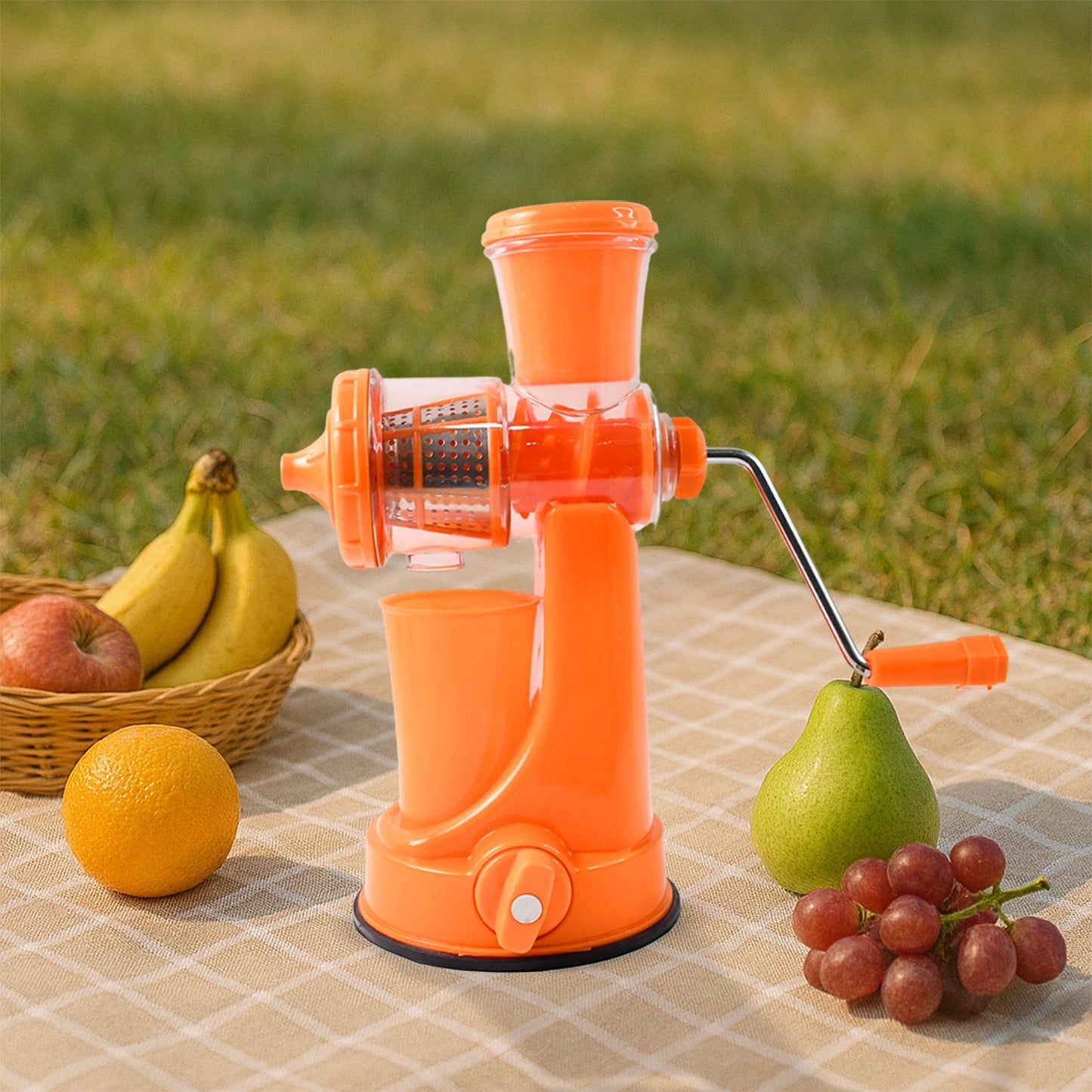 Components of the Manual Fruit Juicer, highlighting pulp and juice separation.