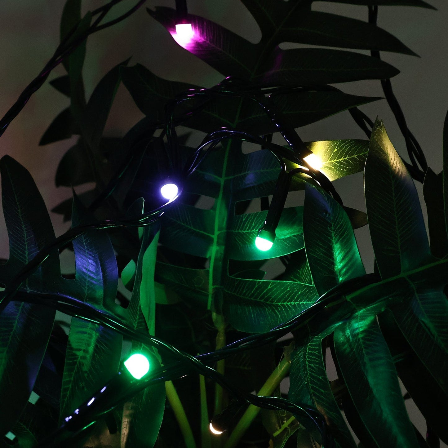 Luxury set of LED fairy lights providing bright, vibrant illumination