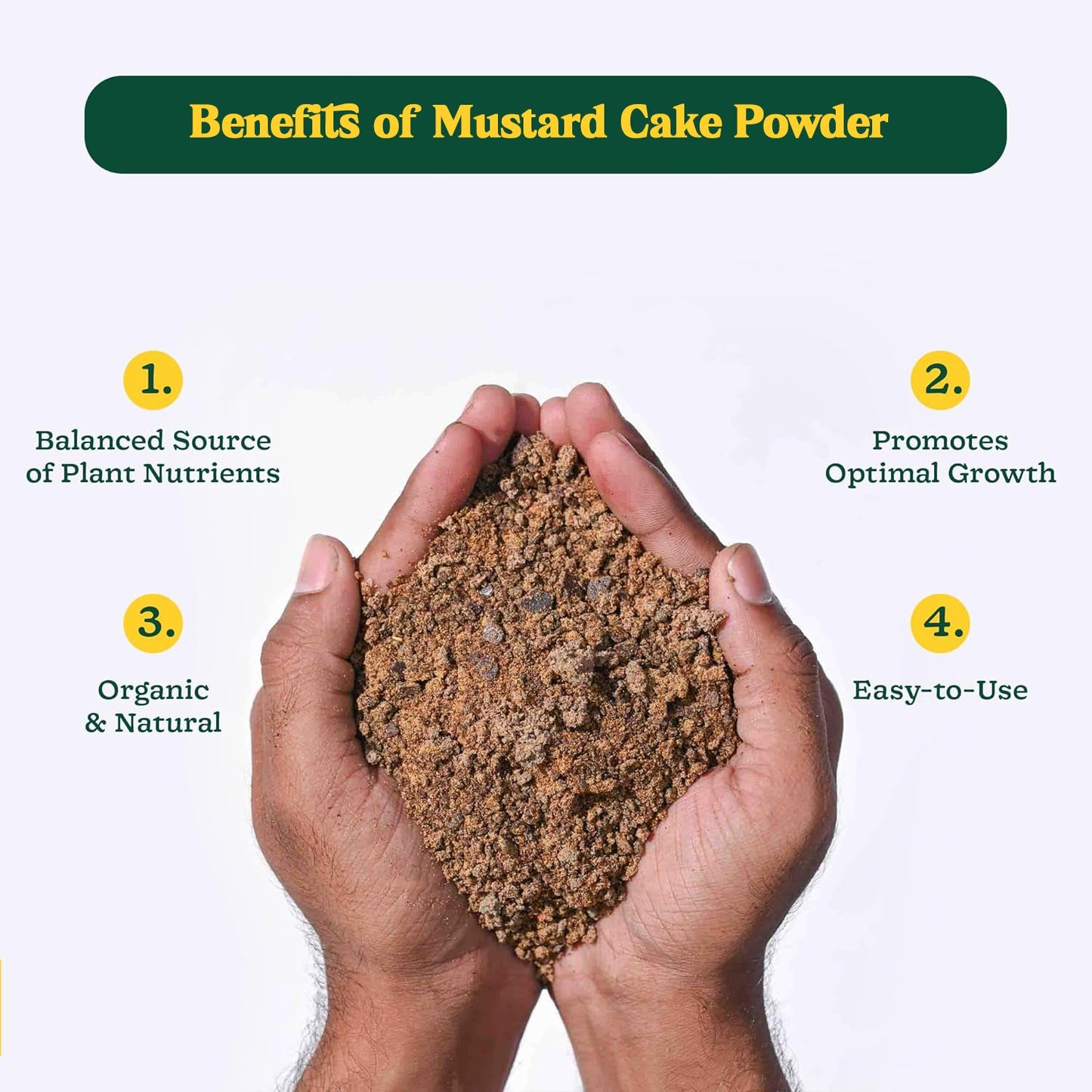 Mustard cake fertilizer stimulating bloom in garden plants