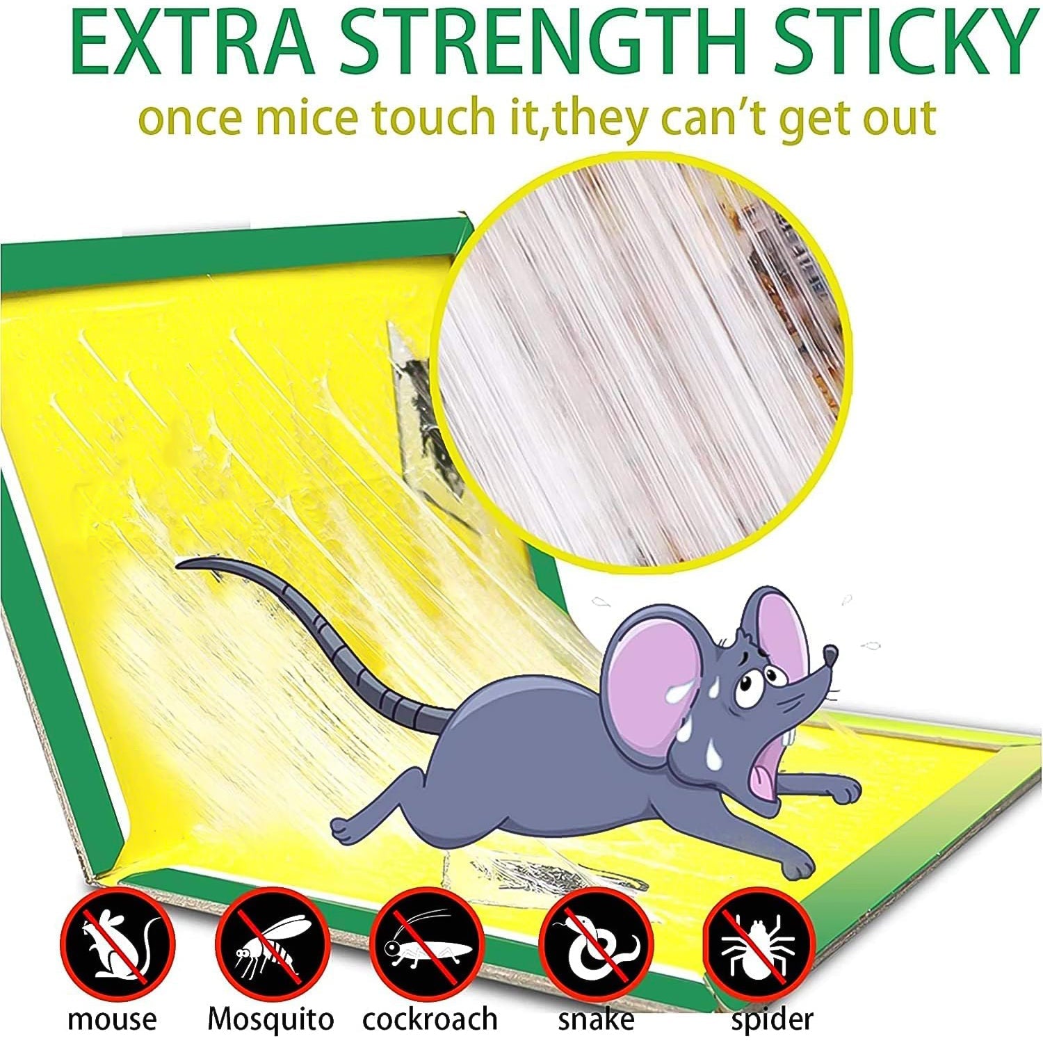 Foldable and reusable cardboard mouse trap with strong adhesive by Indo Glow.