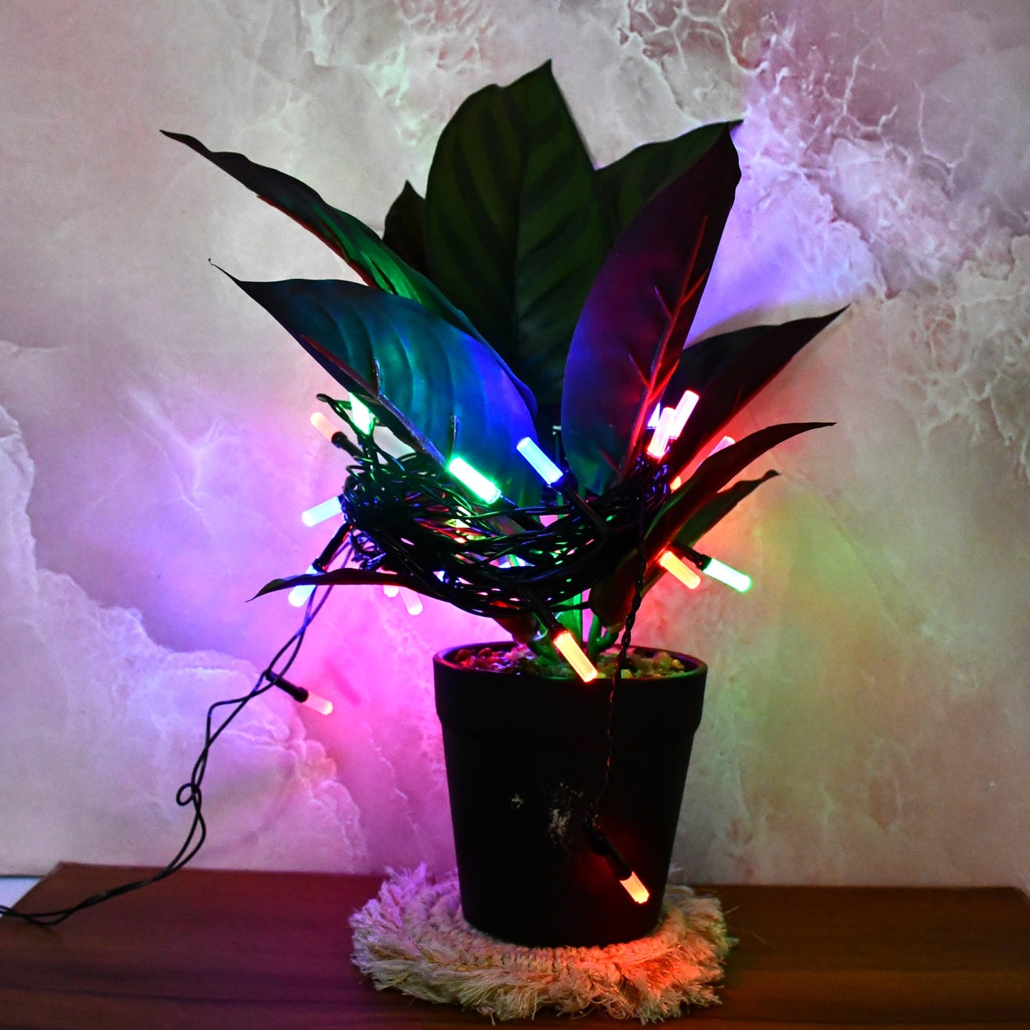 Close-up of multi-color LED bulbs on decorative string lights