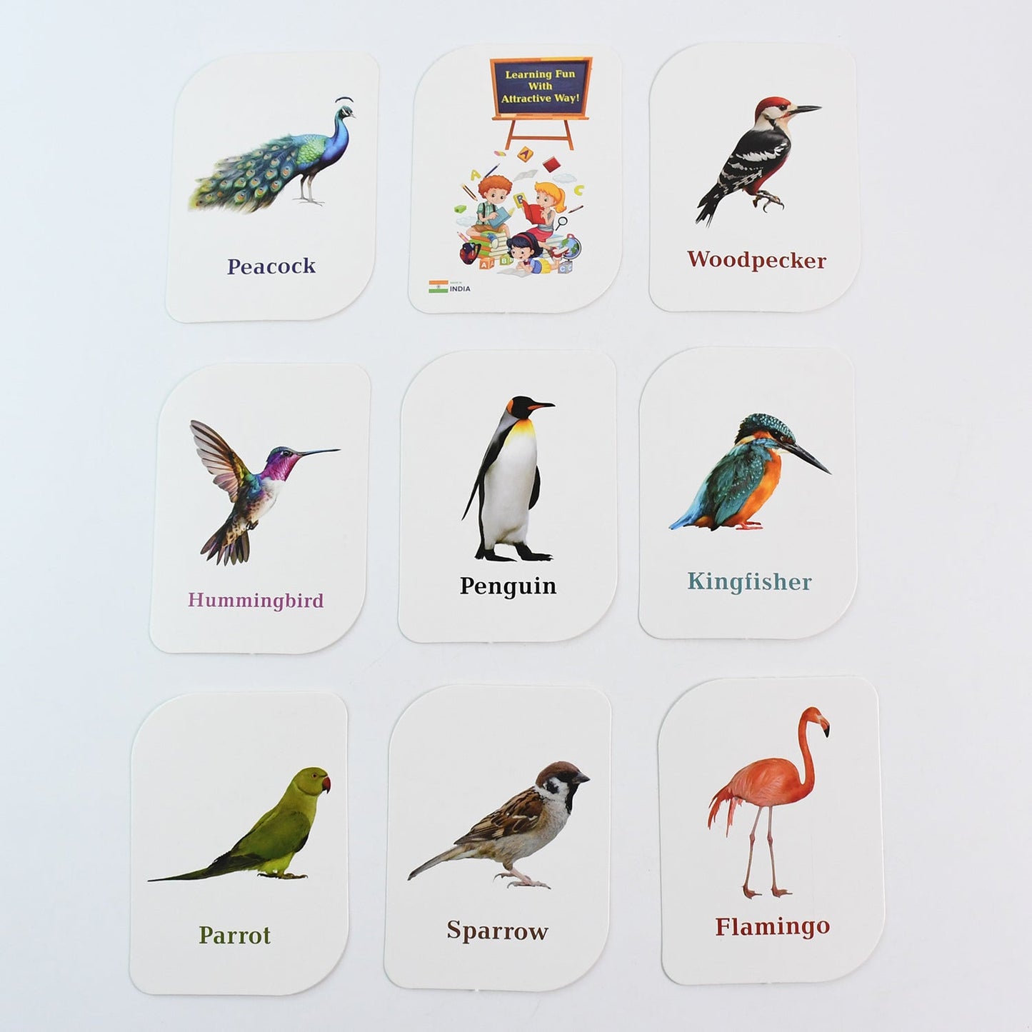 Educational flashcards featuring exotic birds like flamingo with bold text names