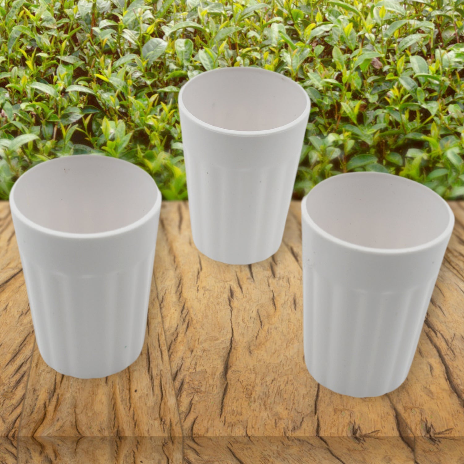 Plastic coffee and tea cups filled with a beverage, ready for serving.