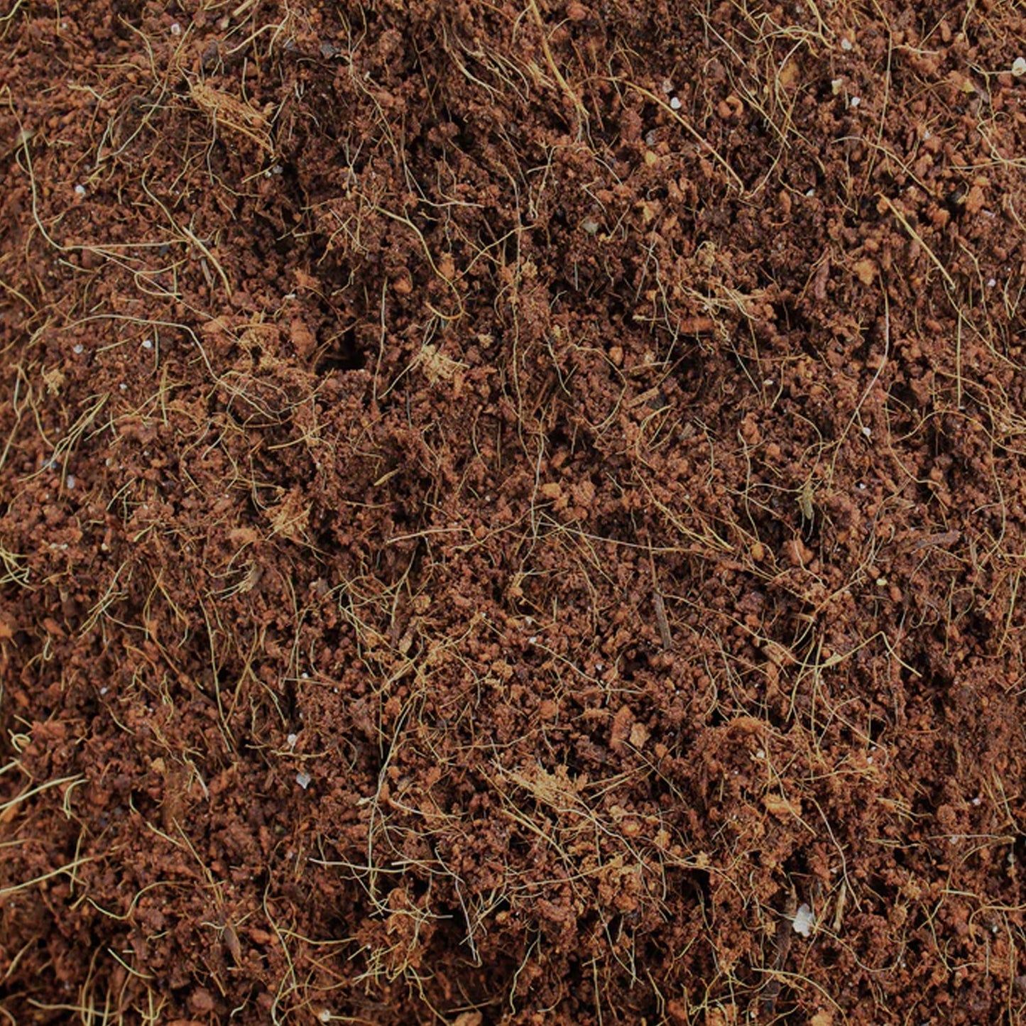 Close-up of Styleva's Organic Cocopeat Block, showing its natural fibers.