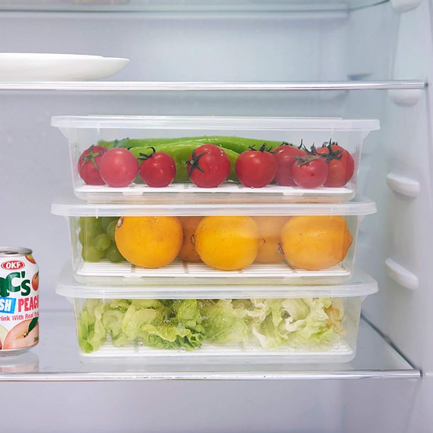 Organivo branded plastic food storage container with closed airtight lid