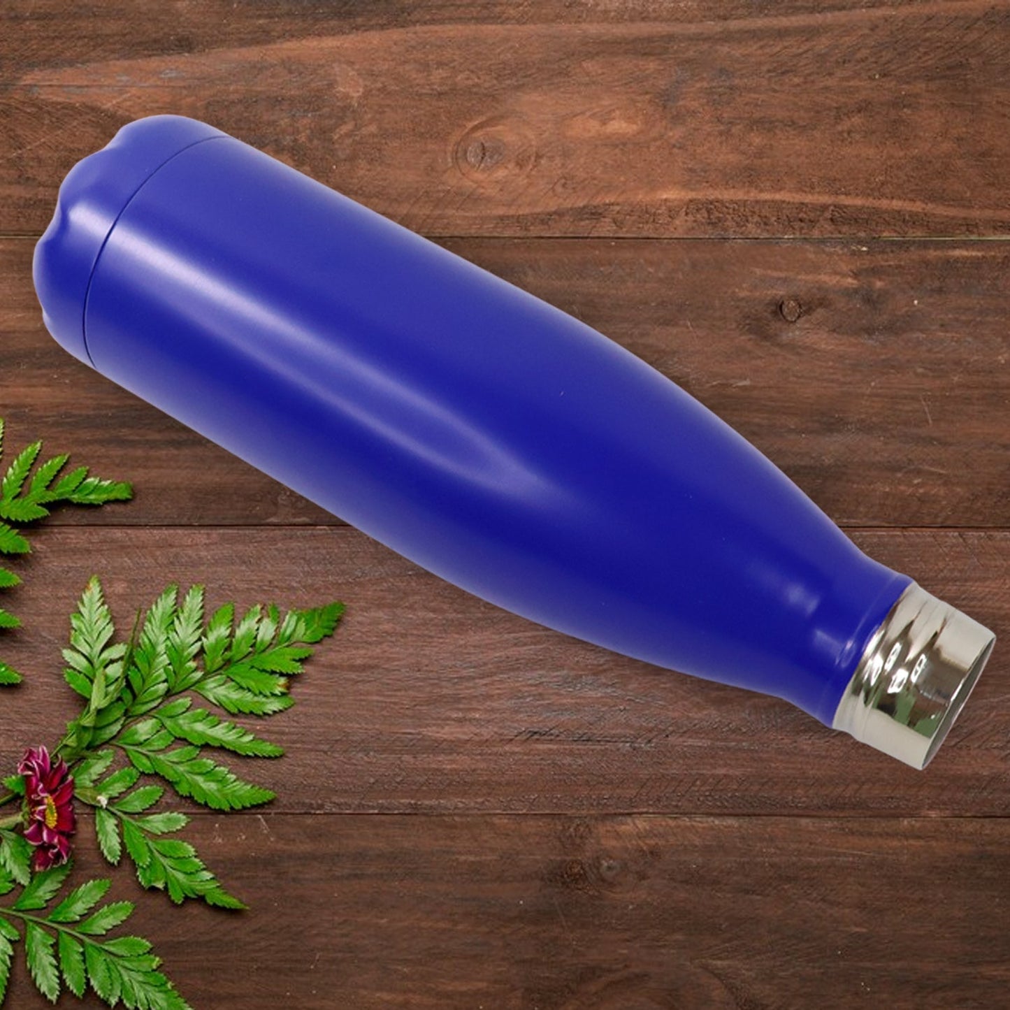 Stainless steel single wall water bottle in silver with leak proof cap