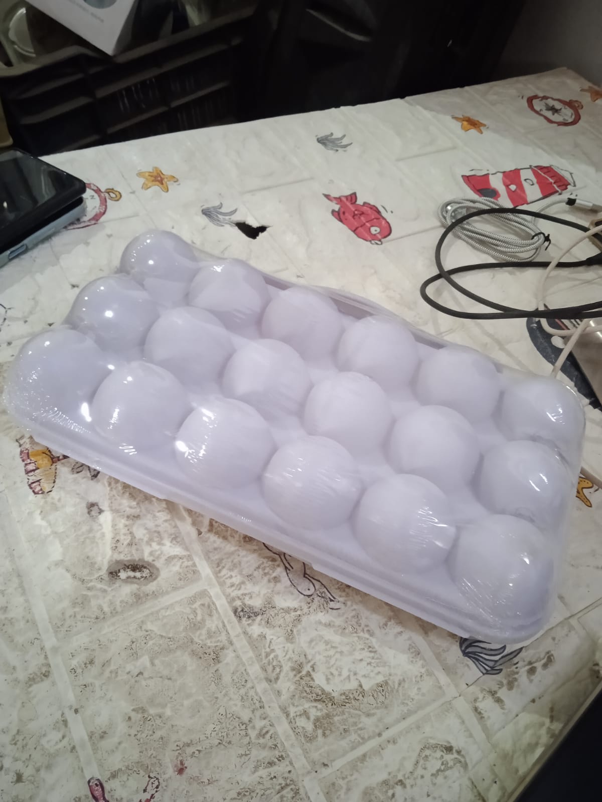 Empty 18-grid plastic egg tray, ready for fresh eggs.