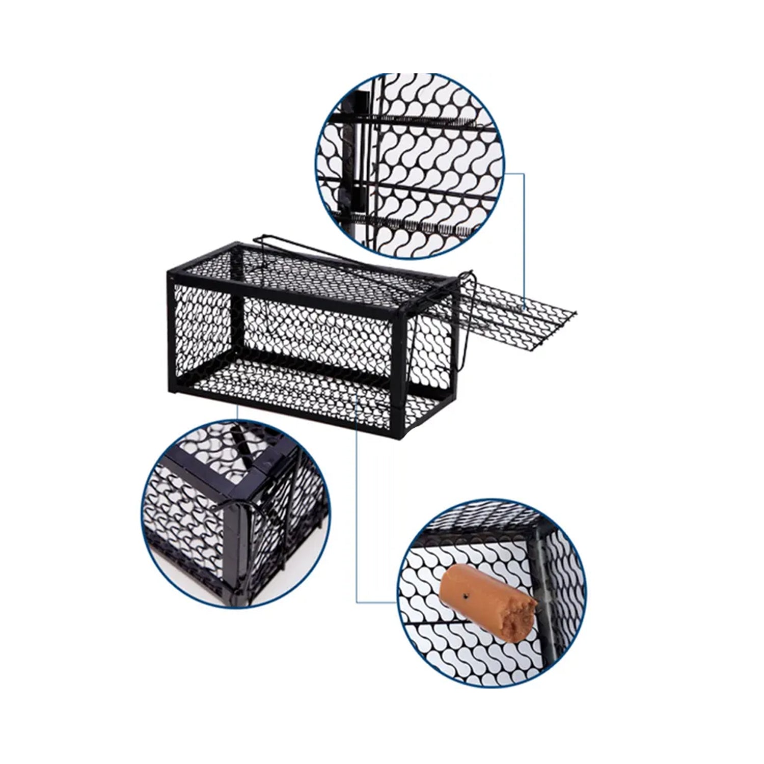 User placing bait on the pedal of the live squirrel trap.