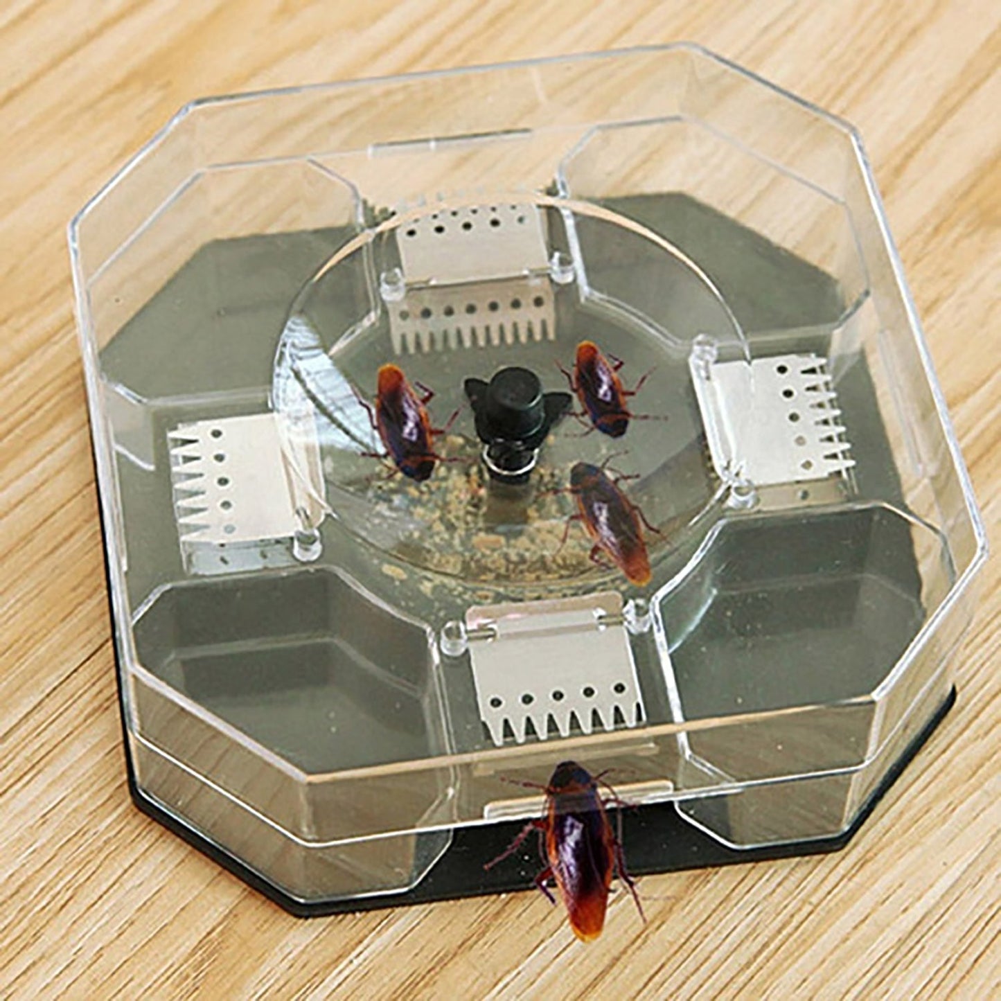 Grow Vanta Cockroach Trap Box, a non-toxic solution for pest control in Indian homes.