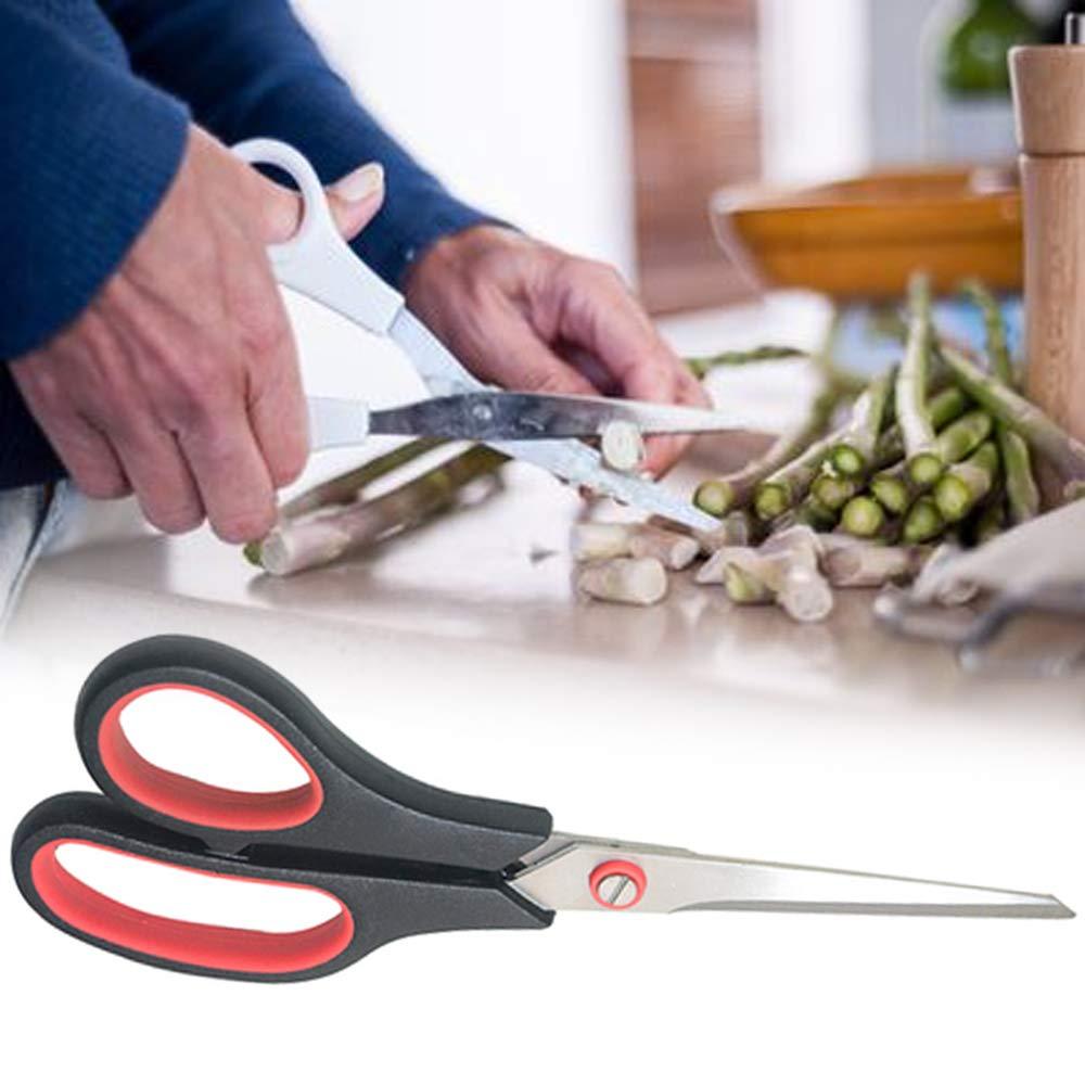 A sharp stainless steel all-purpose scissor set with one large and one medium size.