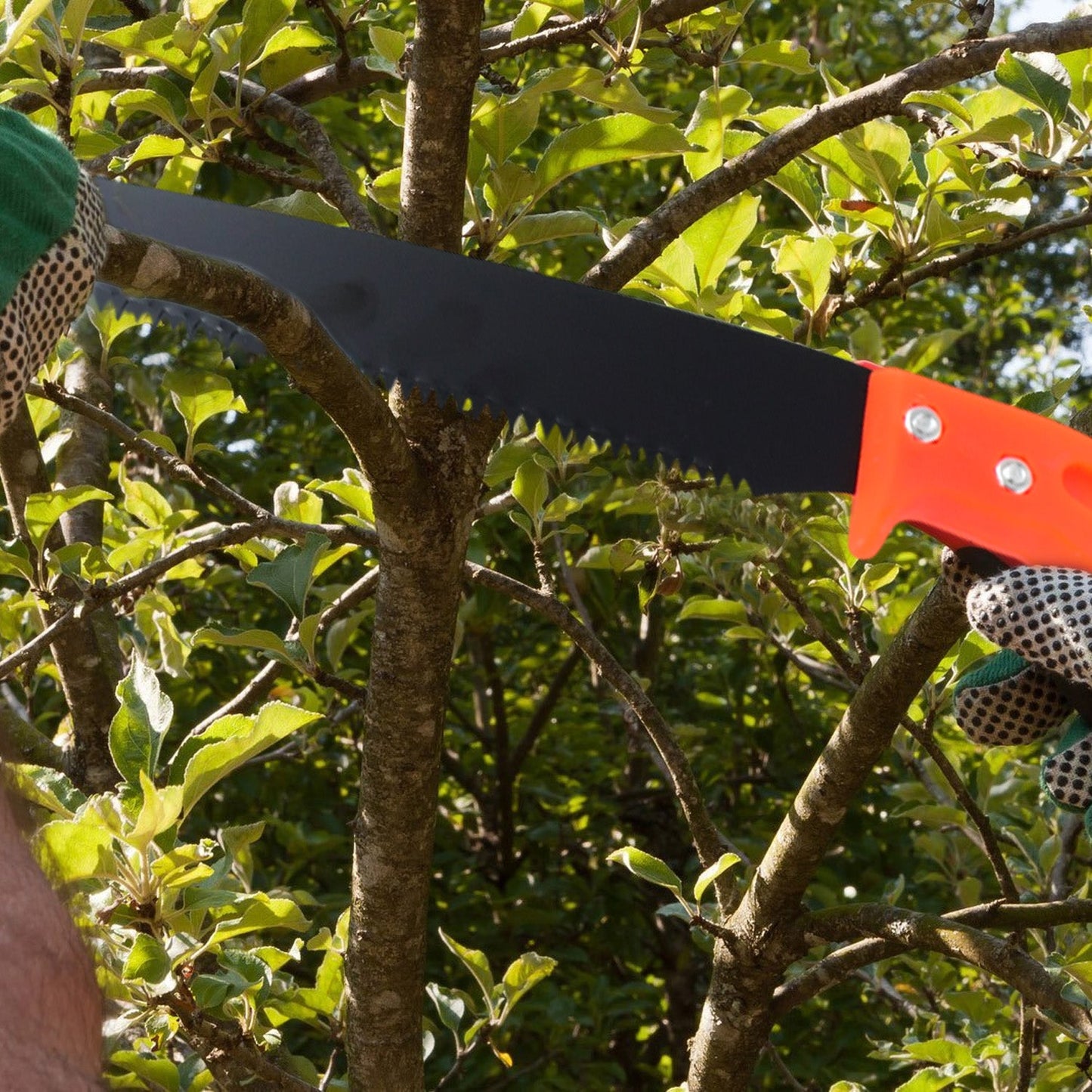 Packaging for the Grow Garden Tools hand pruning saw.
