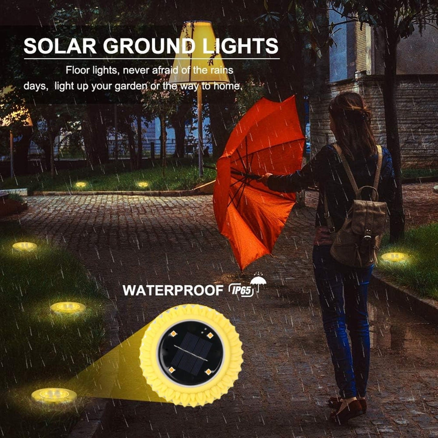 Ground-mounted solar lights along outdoor walkway