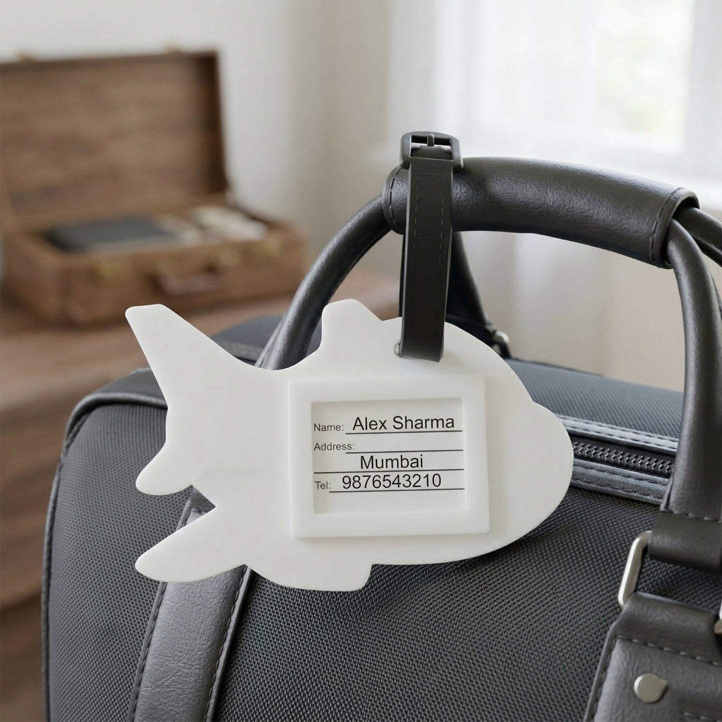 Airplane bag identification tag for travel