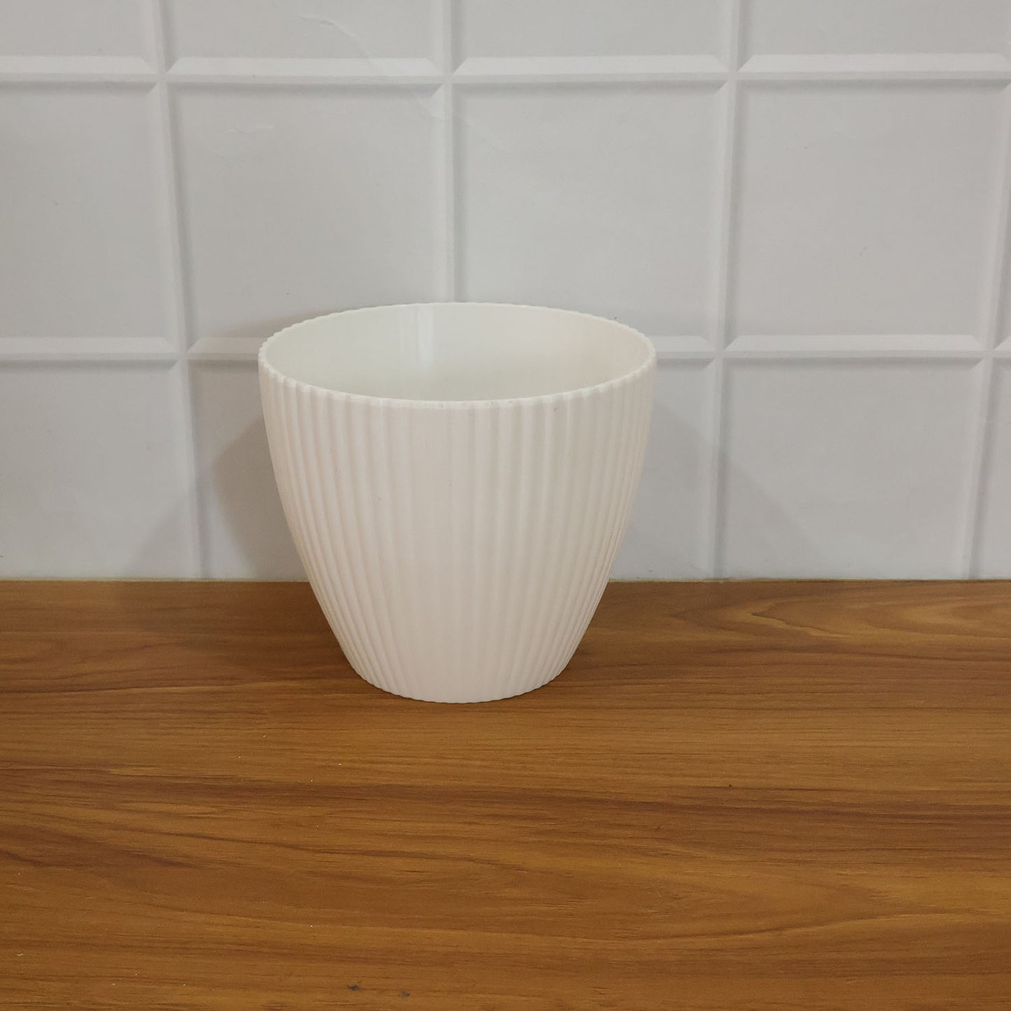 Live plant growing healthily in a white ribbed flower pot