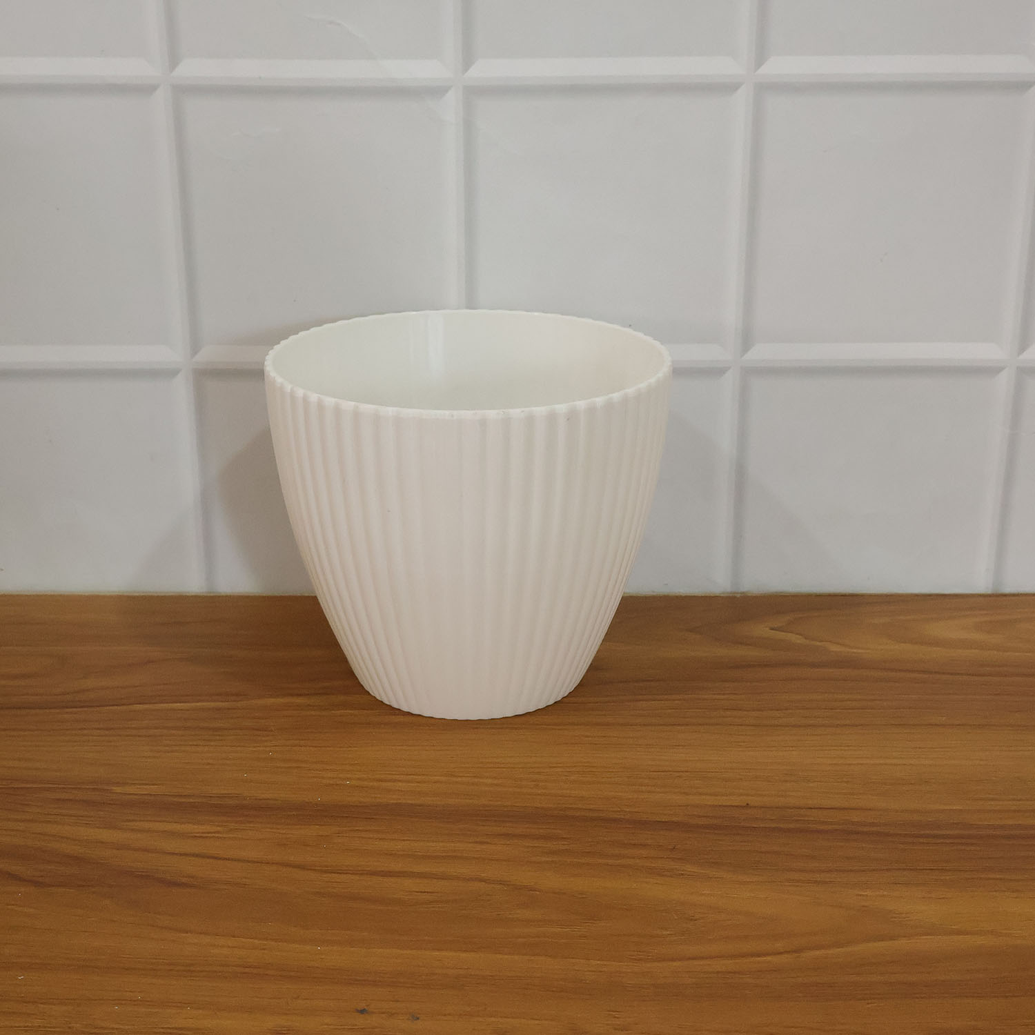 Live plant growing healthily in a white ribbed flower pot