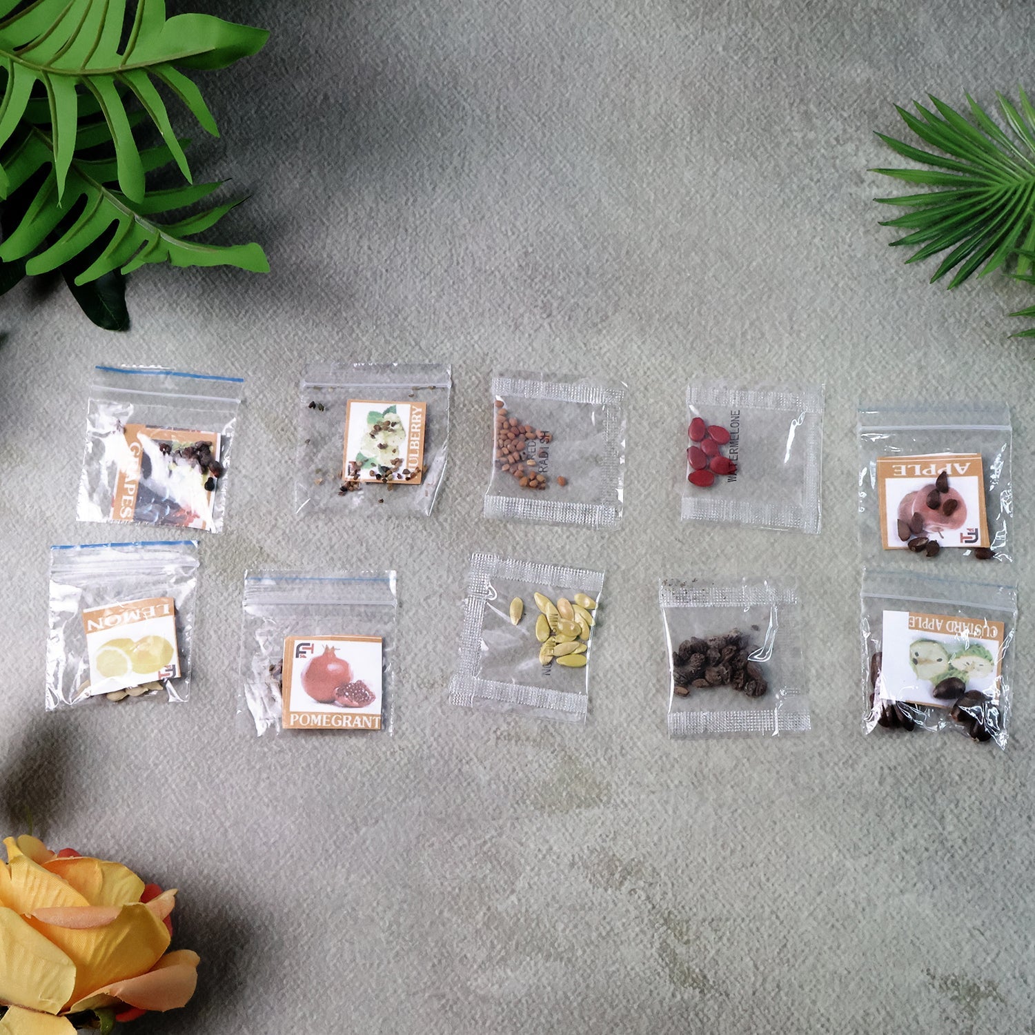 Mixed fruit seeds ideal for terrace and kitchen gardening
