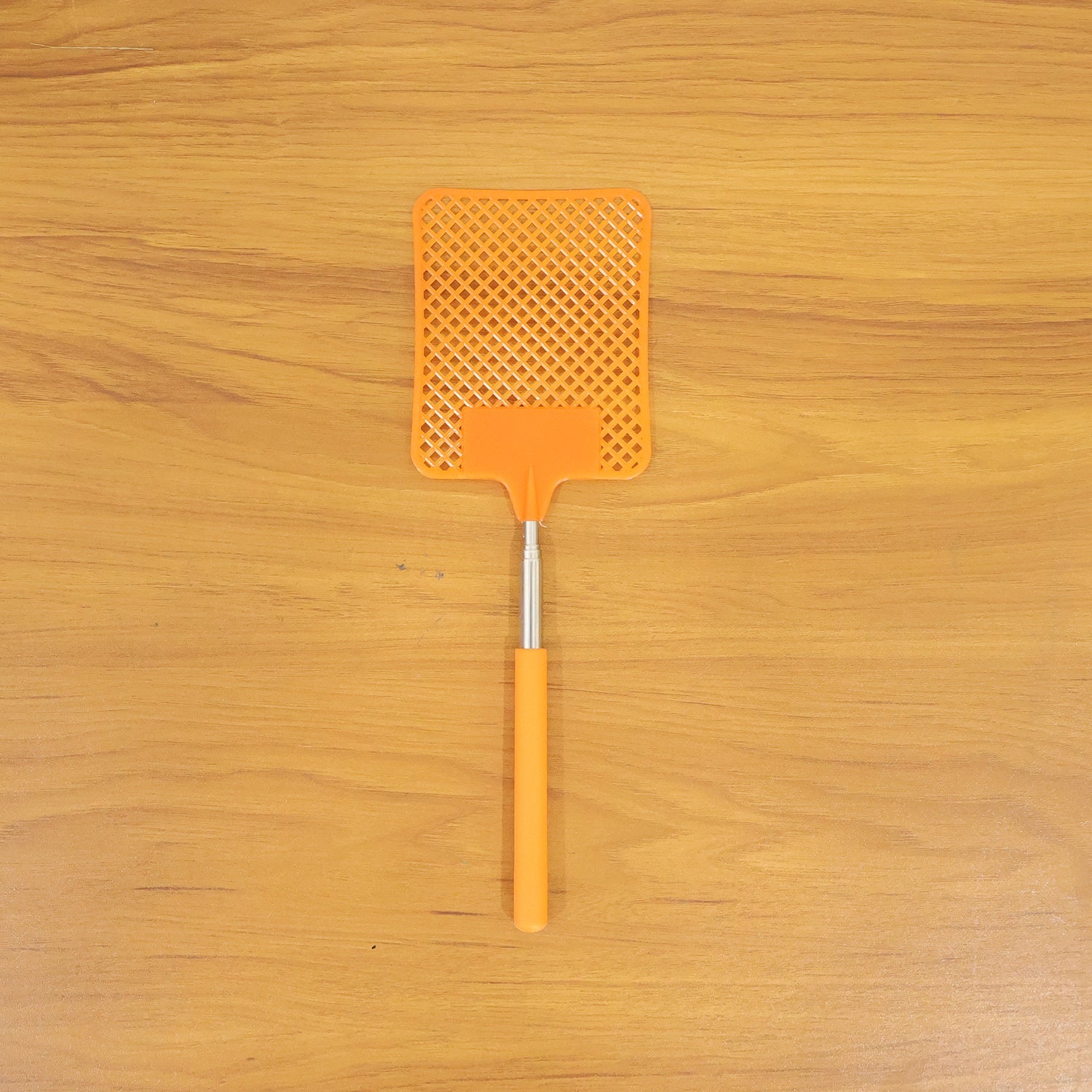 Extendable insect swatter for high spots and corners