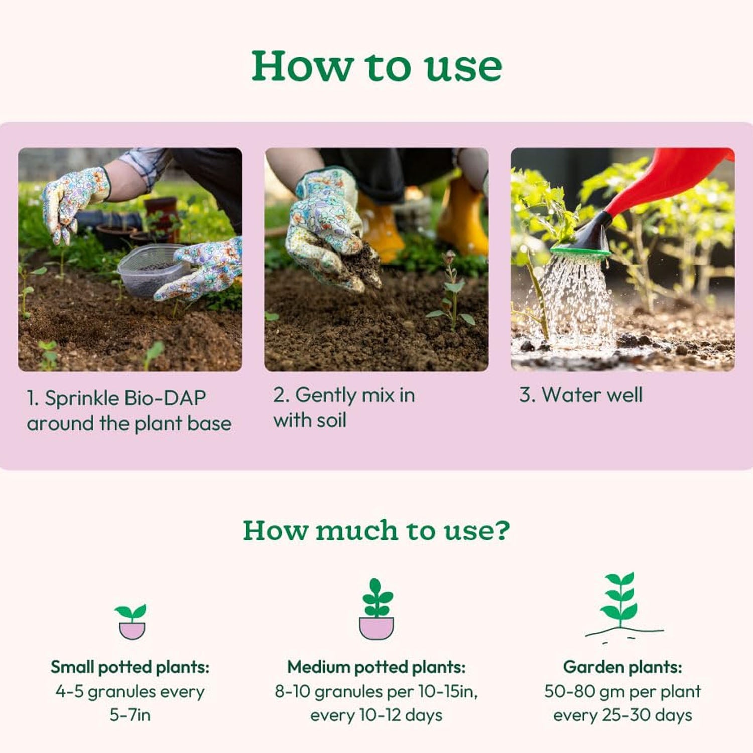 Application of red organic soil fertilizer granules near plant roots